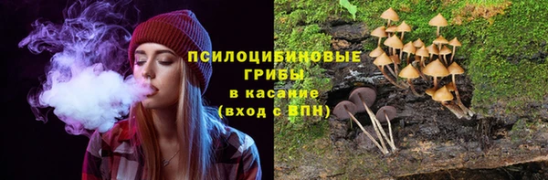 гидропоника Аркадак